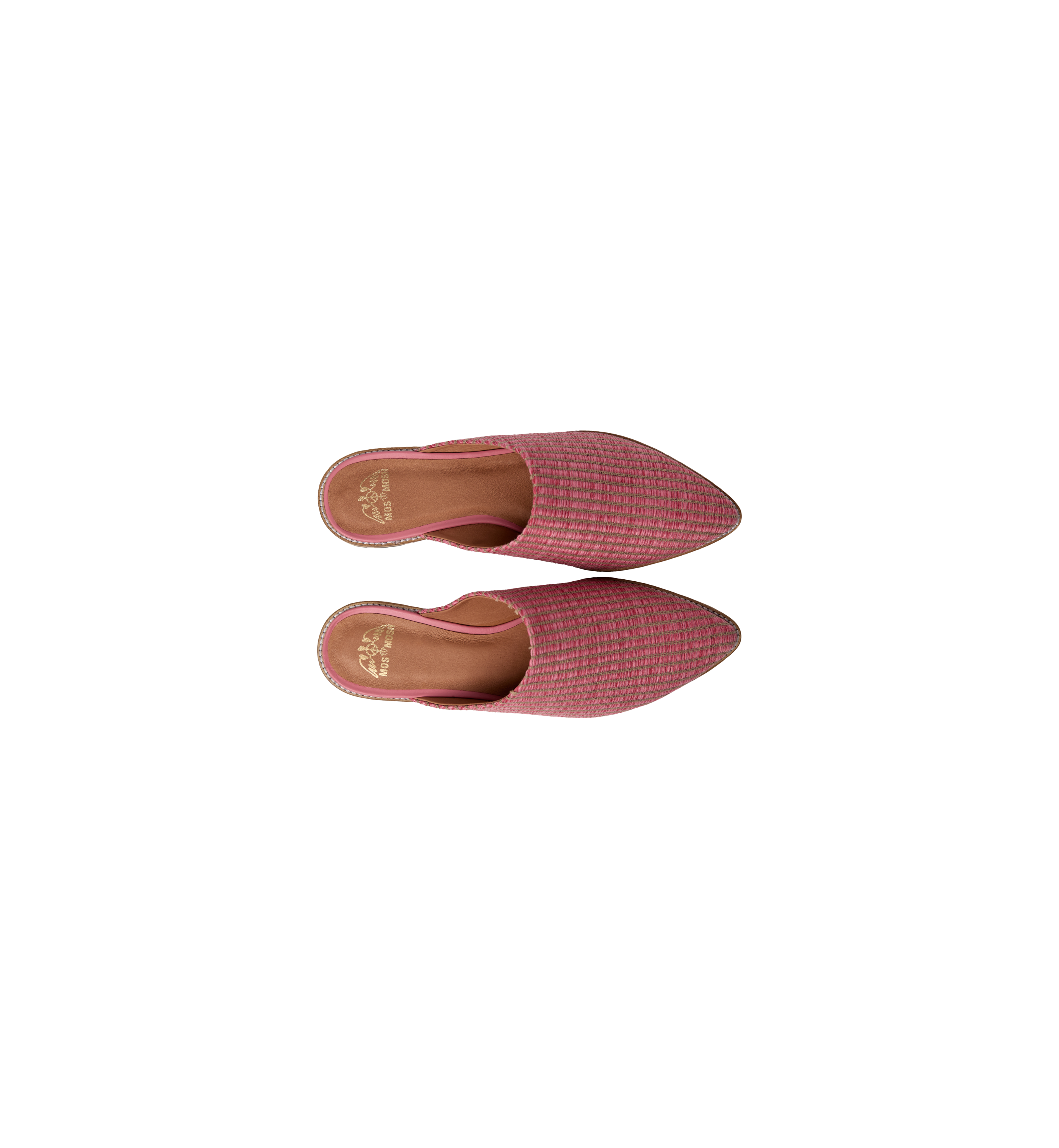 Packshot / Camellia Rose / Above